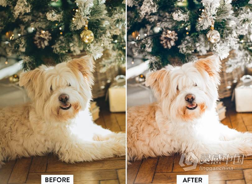 圣诞新年家庭人像Lightroom预设/APP调色滤镜 10 CHRISTMAS Lightroom Preset  灵感中国网 www.lingganchina.com
