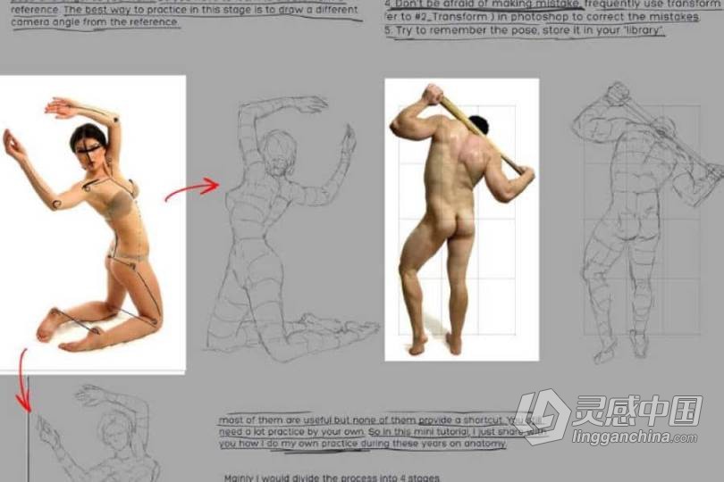 PS人体结构分解线条视频教程 Gumroad - WLOP - #9 Anatomy  灵感中国网 www.lingganchina.com
