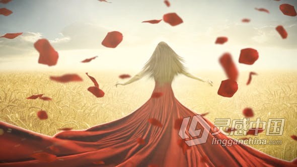 玫瑰花瓣飞舞掉落视频转场制作婚礼照片相册幻灯片动画AE模板AE工程文件 Rose Parallax Slideshow  灵感中国网 www.lingganchina.com
