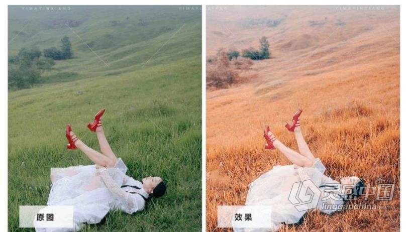 一键秋天秋日黄叶人像风光LR预设/ps/手机版APP滤镜/调色LUT  灵感中国网 www.lingganchina.com