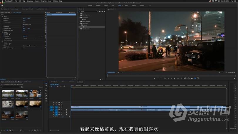 专职电影制作人Amir Zakeri视频拍摄及后期编辑大师班课程 中文字幕 Amir Zakeris Masterclass  灵感中国网 www.lingganchina.com