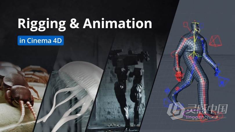 Cinema 4D影视级角色骨骼动画大师班视频教程 Rigging and Animation in Cinema 4D  灵感中国网 www.lingganchina.com
