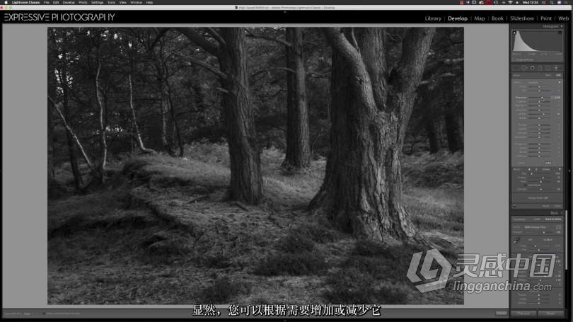 Adobe Lightroom中的风光摄影后期创意黑白处理教程 中文字幕 Creative Black and White Processing in Adob  灵感中国网 www.lingganchina.com