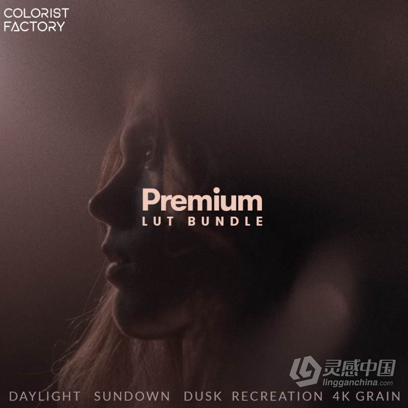 适合阳光日落黄昏和室内不同类别的专业级LUTs调色CUBE预设 Colorist Factory – Premium Lut Bundle &amp; 4k G  灵感中国网 www.lingganchina.com