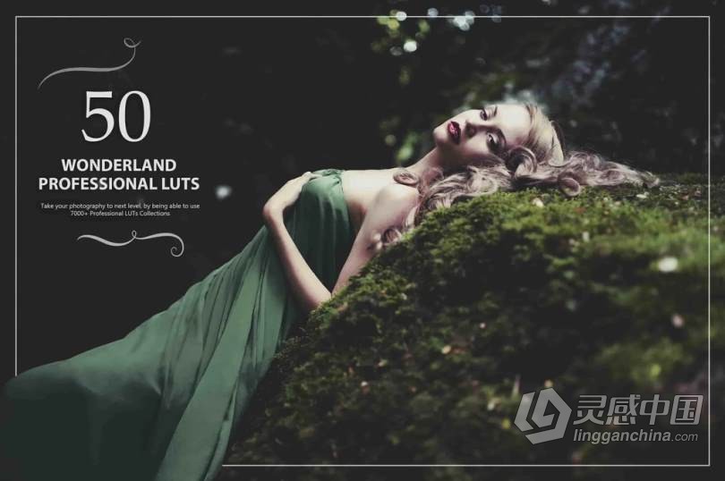 50个奇妙仙境效果LUT创建照片视频童话般美丽奇境电影色调 50 Wonderland LUTs  灵感中国网 www.lingganchina.com