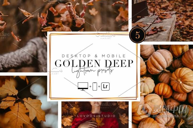 深秋风光人像金色调Lightroom预设/手机APP滤镜 GOLDEN DEEP – Lightroom Presets  灵感中国网 www.lingganchina.com