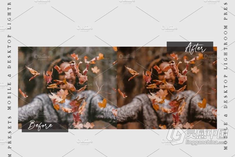 深秋风光人像金色调Lightroom预设/手机APP滤镜 GOLDEN DEEP – Lightroom Presets  灵感中国网 www.lingganchina.com
