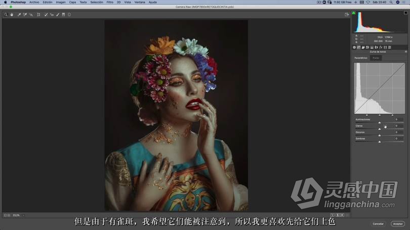Rebeca Saray人像精修女性妆容美容修饰教程附RAW及LR预设-中文字幕 CURSO ONLINE RETOQUE RETRATO  灵感中国网 www.lingganchina.com