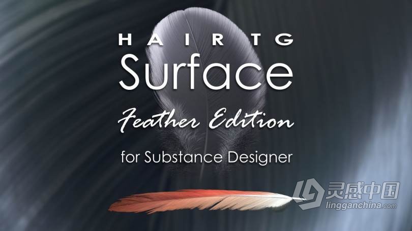 Substance Designer逼真羽毛PBR纹理实例制作视频教程 HairTG - Surface, Feather Edition for Substa  灵感中国网 www.lingganchina.com