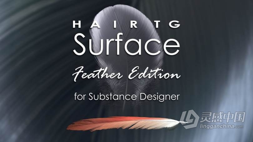 Substance Designer逼真羽毛PBR纹理实例制作视频教程 HairTG - Surface, Feather Edition for Substa  灵感中国社区 www.lingganchina.com