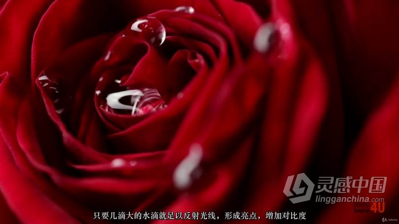 摄影专业学院：人像风光产品微距摄影从入门到精通-中文字幕  灵感中国网 www.lingganchina.com