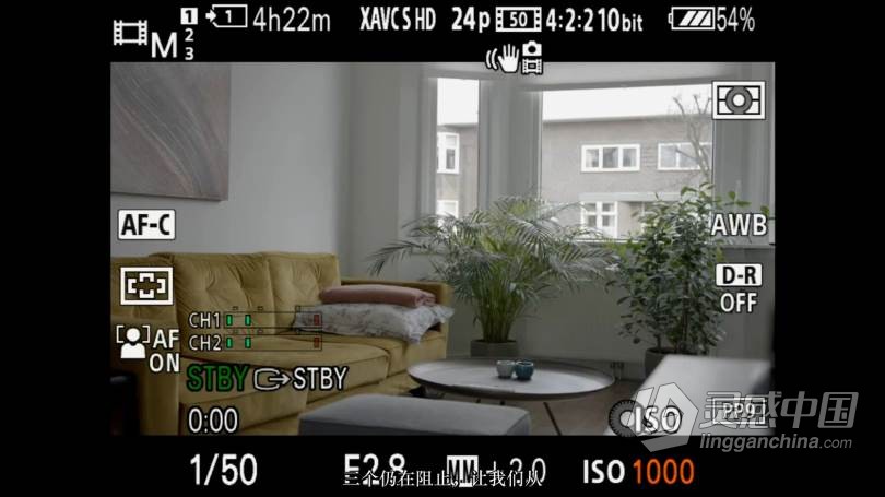 全新SONY A7S III最佳视频和照片设置的深入指南-中文字幕  灵感中国网 www.lingganchina.com