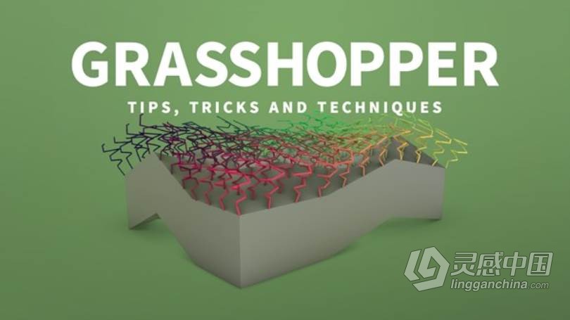 Grasshopper高效工作技巧训练视频教程 Write object  灵感中国社区 www.lingganchina.com