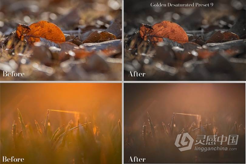 26个秋季微距风光金色调Lightroom预设 Golden Lightroom Presets  灵感中国网 www.lingganchina.com