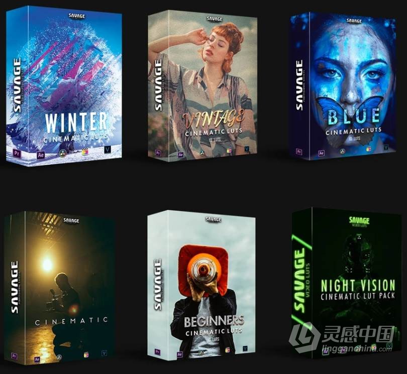 12组唯美创意VLOG旅行季节复古环境人像大片LUTS调色预设合集 WINTER + ALL LUTS PACK  灵感中国网 www.lingganchina.com