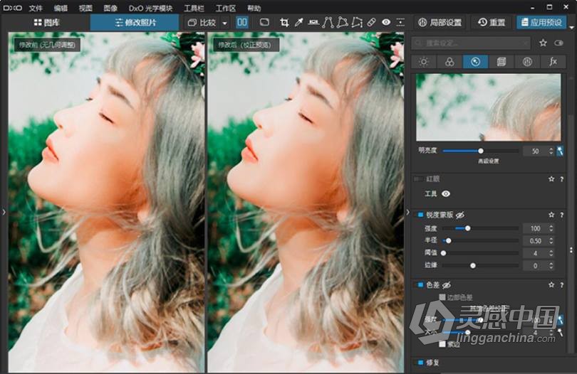 DxO PhotoLab 4汉化版|顶级智能降噪软件DxO PhotoLab 4.2.0 Build 4522 WIN中文版  灵感中国网 www.lingganchina.com