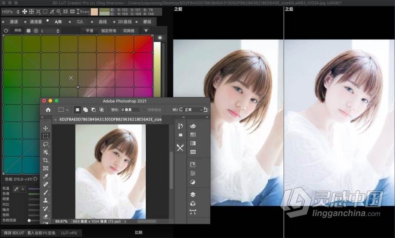 3D LUT Creator Pro for mac V1.5.2汉化版|LUT调色神器3D LUT Creator for mac中文版  灵感中国网 www.lingganchina.com