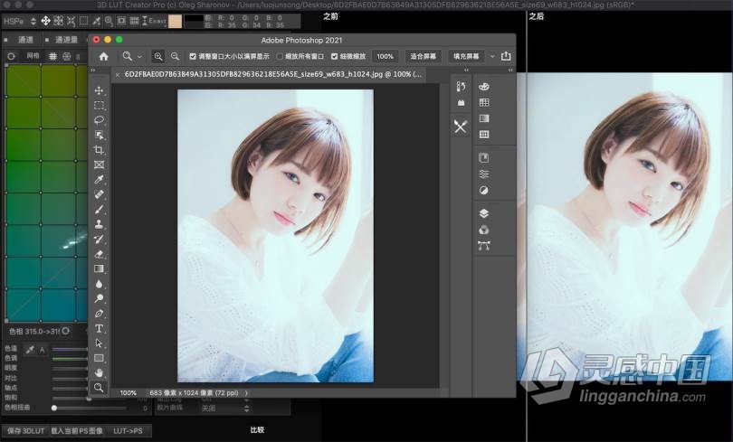 3D LUT Creator Pro for mac V1.5.2汉化版|LUT调色神器3D LUT Creator for mac中文版  灵感中国网 www.lingganchina.com