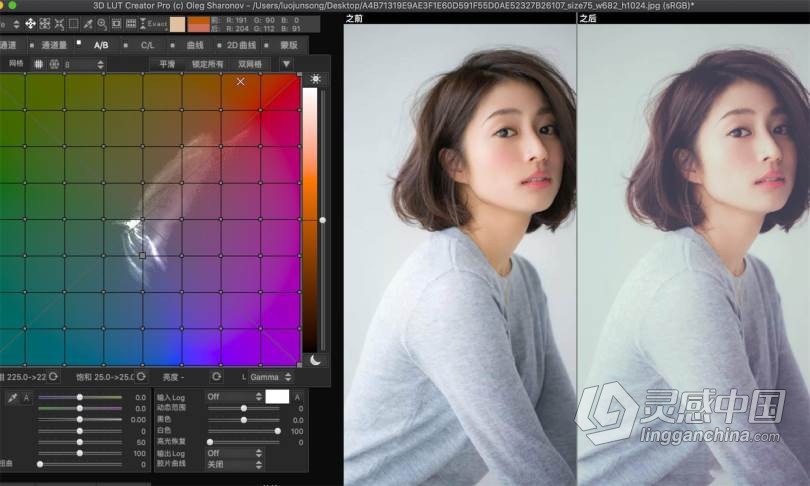 3D LUT Creator Pro for mac V1.5.2汉化版|LUT调色神器3D LUT Creator for mac中文版  灵感中国网 www.lingganchina.com