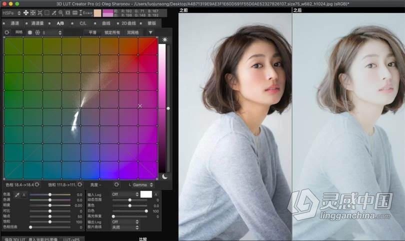 3D LUT Creator Pro for mac V1.5.2汉化版|LUT调色神器3D LUT Creator for mac中文版  灵感中国网 www.lingganchina.com