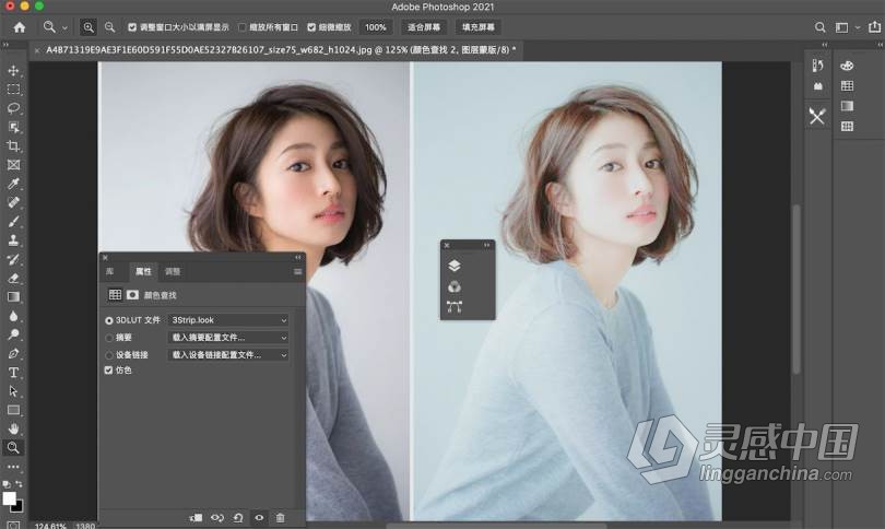 3D LUT Creator Pro for mac V1.5.2汉化版|LUT调色神器3D LUT Creator for mac中文版  灵感中国网 www.lingganchina.com