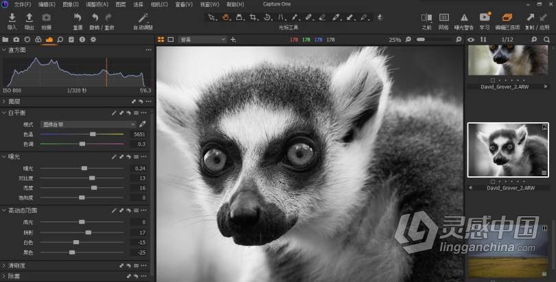 Capture One 21 正式版(RAW图像编辑软件)|飞思Capture One 21 Pro V14.1.1中文版 WINX64  灵感中国网 www.lingganchina.com