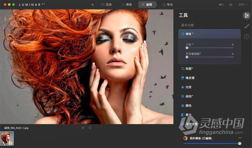 Luminar AI for mac汉化版|AI人工智能图像插件 Luminar AI 1.2.0.8790 for mac中文版  灵感中国网 www.lingganchina.com