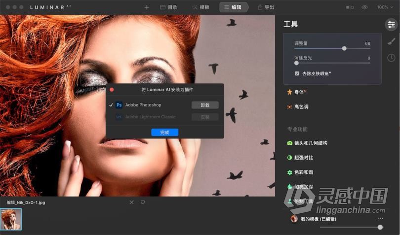 Luminar AI for mac汉化版|AI人工智能图像插件 Luminar AI 1.2.0.8790 for mac中文版  灵感中国网 www.lingganchina.com