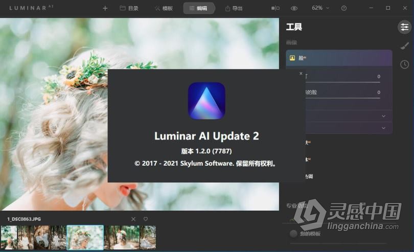 Luminar AI 汉化版|AI人工智能修图插件 Luminar AI 1.2.0 (7787) 中文版  灵感中国网 www.lingganchina.com