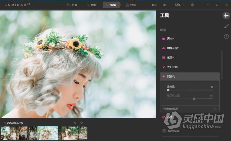 Luminar AI 汉化版|AI人工智能修图插件 Luminar AI 1.2.0 (7787) 中文版  灵感中国网 www.lingganchina.com