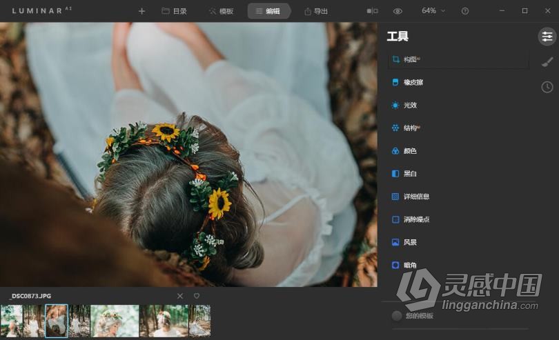 Luminar AI 汉化版|AI人工智能修图插件 Luminar AI 1.2.0 (7787) 中文版  灵感中国网 www.lingganchina.com