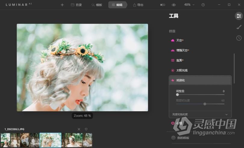 Luminar AI 汉化版|AI人工智能修图插件 Luminar AI 1.2.0 (7787) 中文版  灵感中国网 www.lingganchina.com