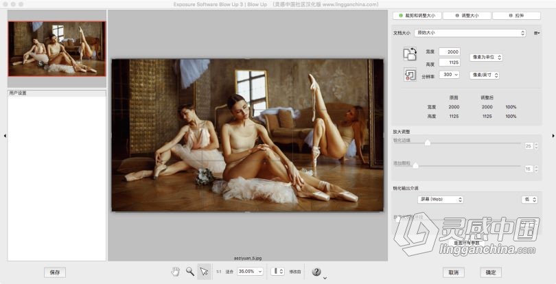 PS无损放大插件Alien Skin Blow Up 3.1.3.222 for Mac中文汉化版 支持PS CC 2019  灵感中国网 www.lingganchina.com