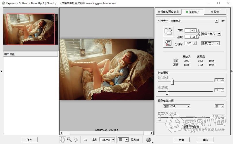 无损放大滤镜Alien Skin Blow Up 3.1.0.117汉化版 支持PS CC 2018  灵感中国网 www.lingganchina.com