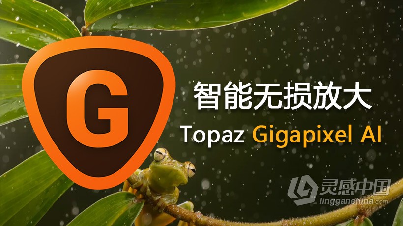 AI人工智能无损放大插件Topaz Gigapixel AI 5.4.1汉化版 Topaz Gigapixel AI中文版 支持PS 2021  灵感中国社区 www.lingganchina.com