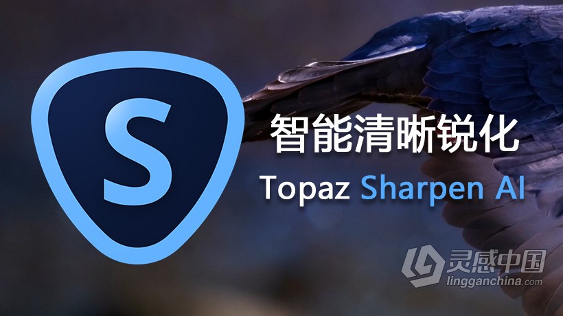 人工智能清晰锐化PS插件滤镜 Topaz Sharpen AI 2.1.7 WINX64破解版 支持PS 2021  灵感中国社区 www.lingganchina.com