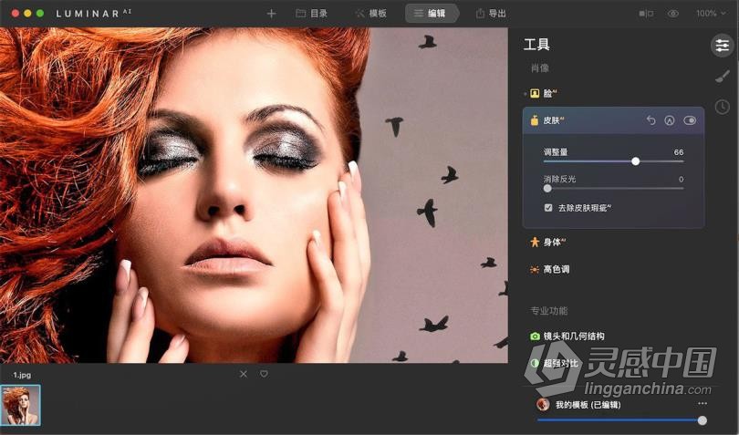 Luminar AI for mac汉化版|AI人工智能图像插件 Luminar AI 1.2.0.8790 for mac中文版  灵感中国网 www.lingganchina.com