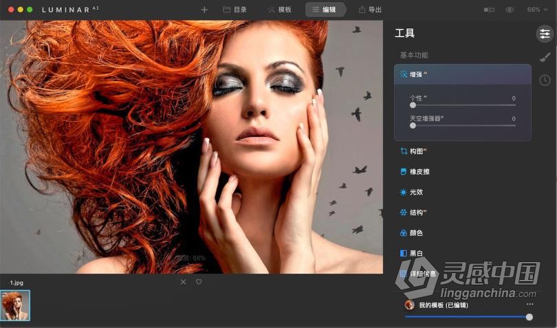 Luminar AI for mac汉化版|AI人工智能图像插件 Luminar AI 1.2.0.8790 for mac中文版  灵感中国网 www.lingganchina.com