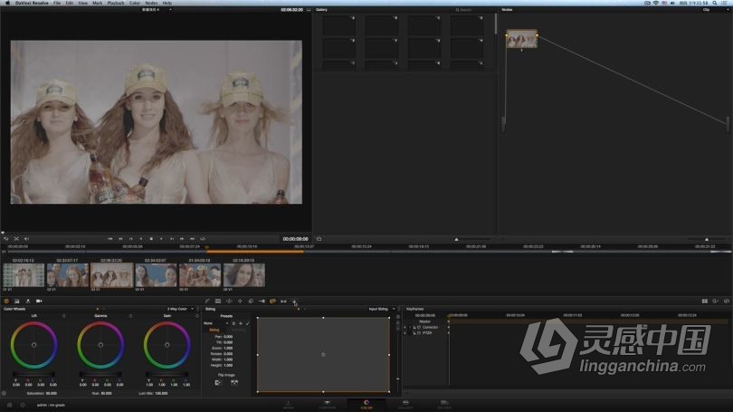 达芬奇教程 DaVinci Resolve达芬奇调色I入门宝典中文教程全集  灵感中国社区 www.lingganchina.com