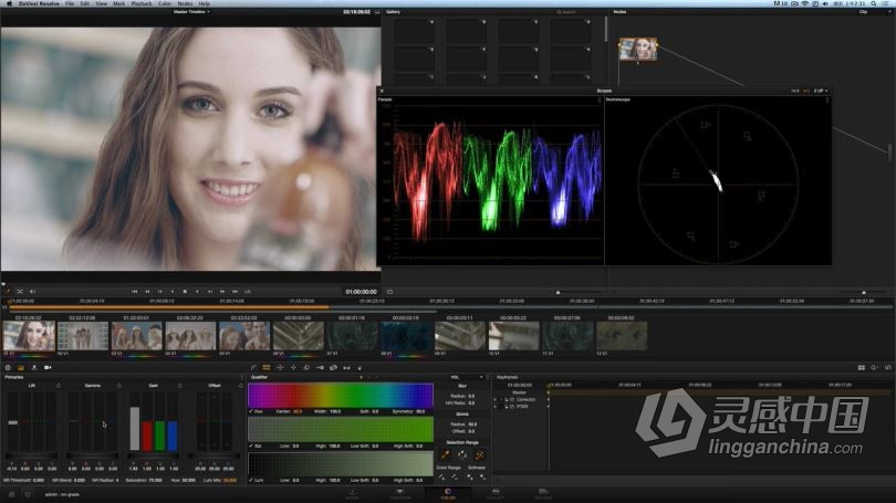 达芬奇教程 DaVinci Resolve达芬奇调色I入门宝典中文教程全集  灵感中国社区 www.lingganchina.com