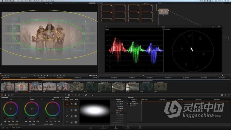 达芬奇教程 DaVinci Resolve达芬奇调色I入门宝典中文教程全集  灵感中国社区 www.lingganchina.com