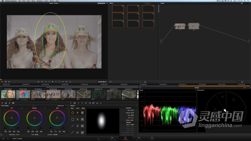 达芬奇教程 DaVinci Resolve达芬奇调色I入门宝典中文教程全集  灵感中国社区 www.lingganchina.com