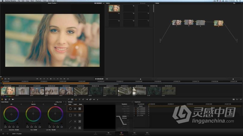 达芬奇教程 DaVinci Resolve达芬奇调色I入门宝典中文教程全集  灵感中国社区 www.lingganchina.com