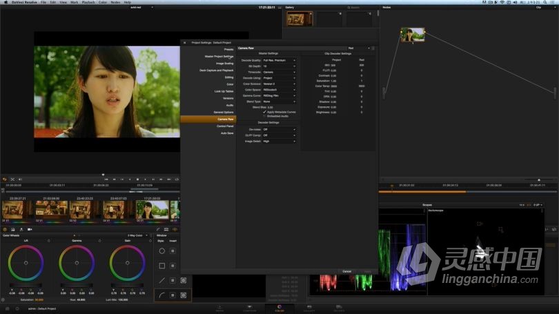达芬奇教程 DaVinci Resolve达芬奇调色II进阶宝典中文教程全集  灵感中国社区 www.lingganchina.com
