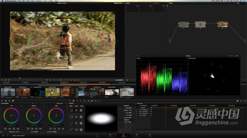 达芬奇教程 DaVinci Resolve达芬奇调色III调色宝典中文教程全集  灵感中国社区 www.lingganchina.com