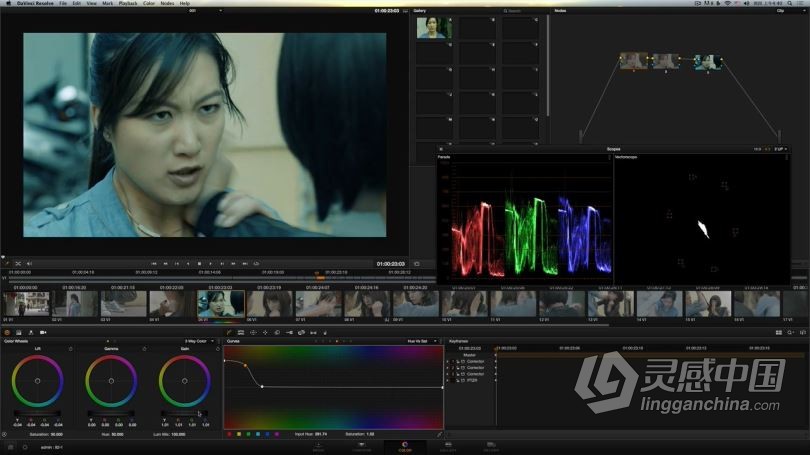达芬奇教程 DaVinci Resolve达芬奇调色III调色宝典中文教程全集  灵感中国社区 www.lingganchina.com