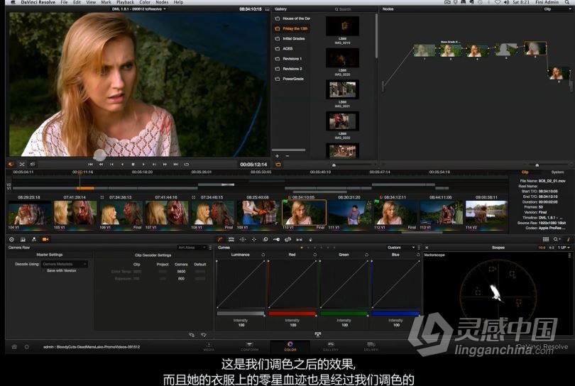 达芬奇教程 达芬奇DaVinci Resolve第三季高级实例实战调色视频教程 中文字幕  灵感中国网 www.lingganchina.com