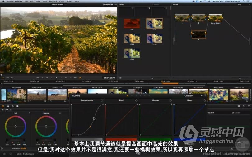 达芬奇教程 达芬奇DaVinci Resolve第四季高级创意调色视频教程 中文字幕  灵感中国网 www.lingganchina.com