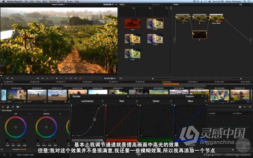 达芬奇教程 达芬奇DaVinci Resolve第四季高级创意调色视频教程 中文字幕  灵感中国社区 www.lingganchina.com