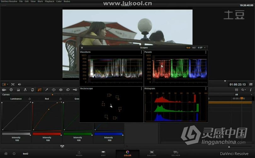 达芬奇教程 阿庆达芬奇DaVinci Resolve菜鸟宝典达芬奇调色中文教程  灵感中国社区 www.lingganchina.com